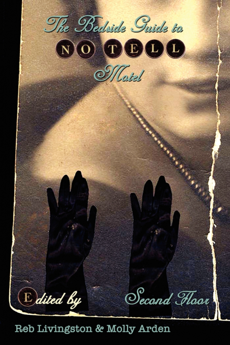 THE BEDSIDE GUIDE TO NO TELL MOTEL - SECOND FLOOR