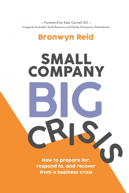 SMALL COMPANY BIG CRISIS