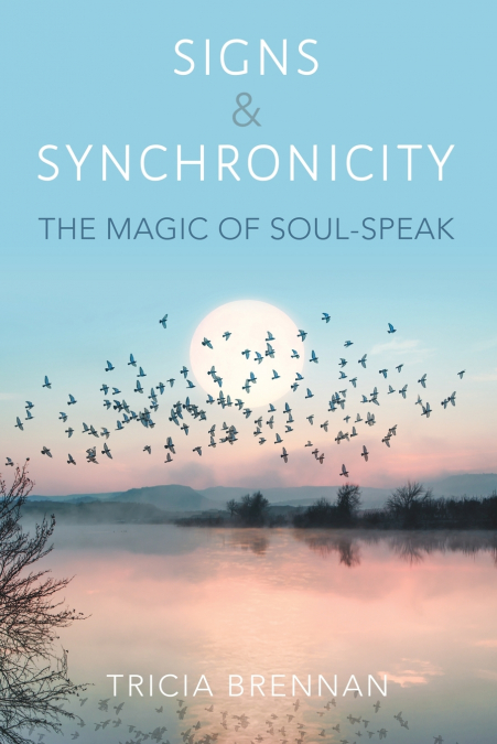 SIGNS & SYNCHRONICITY - THE MAGIC OF SOUL SPEAK