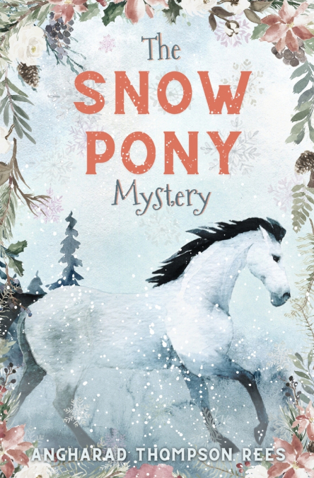THE SNOW PONY MYSTERY