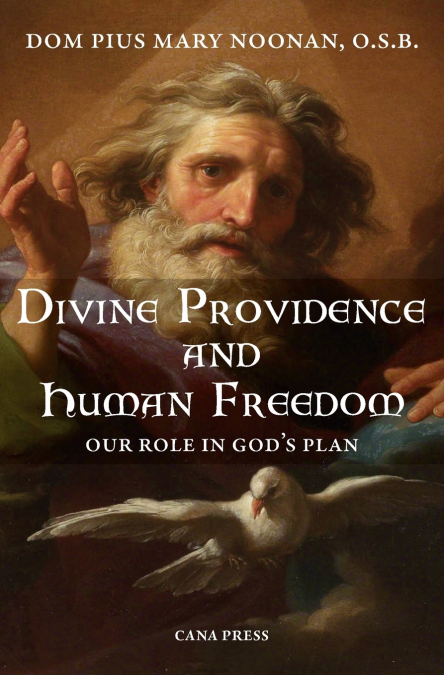 DIVINE PROVIDENCE AND HUMAN FREEDOM