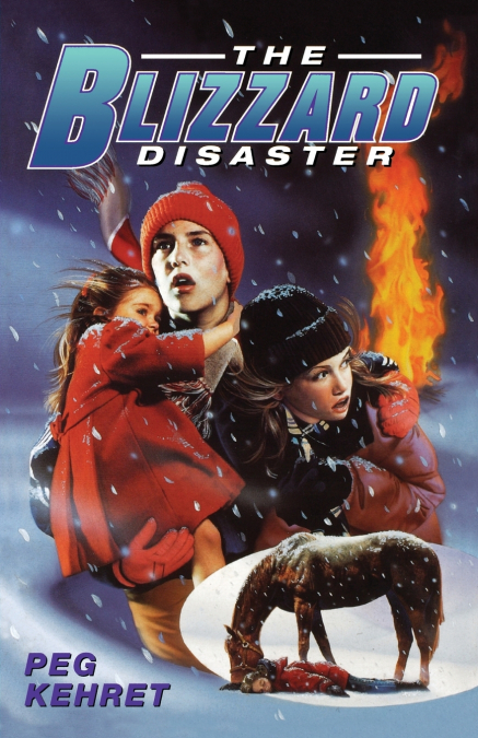 THE BLIZZARD DISASTER
