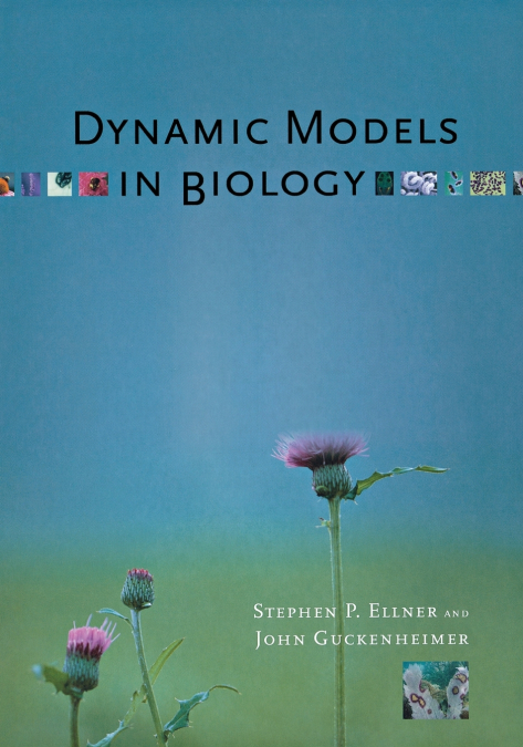 DYNAMIC MODELS IN BIOLOGY