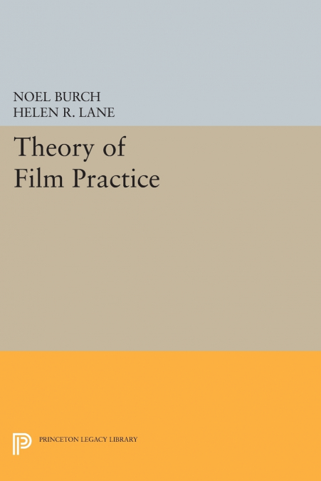 THEORY OF FILM PRACTICE