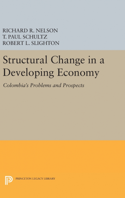 STRUCTURAL CHANGE IN A DEVELOPING ECONOMY