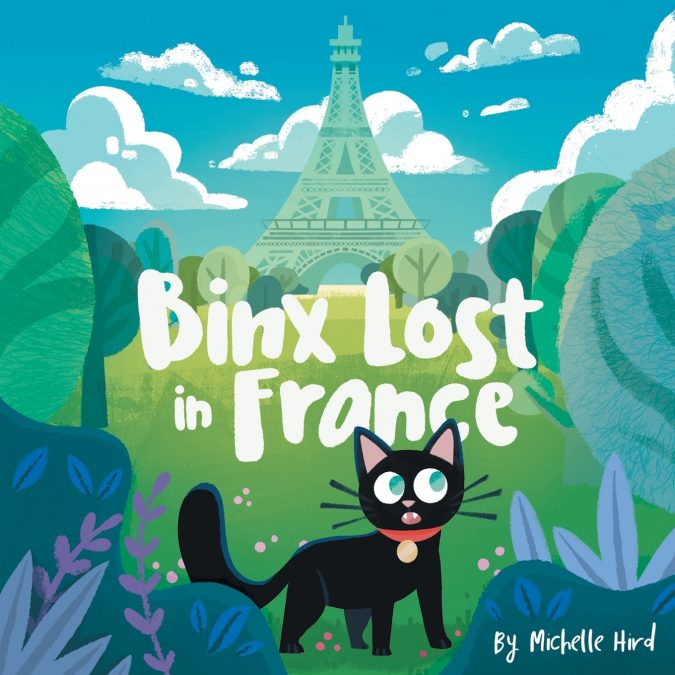 BINX LOST IN FRANCE