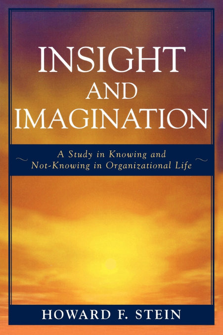 INSIGHT AND IMAGINATION