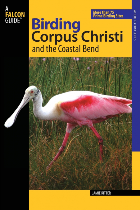BIRDING CORPUS CHRISTI AND THE COASTAL BEND