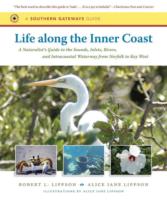 LIFE ALONG THE INNER COAST