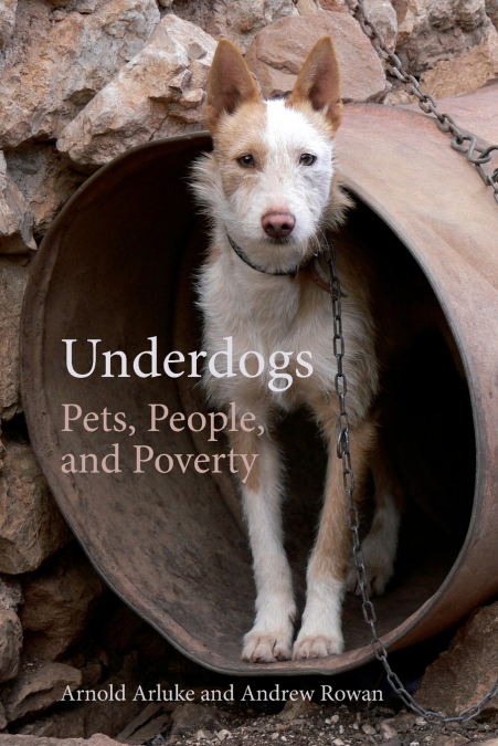 UNDERDOGS