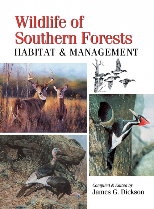 WILDLIFE OF SOUTHERN FORESTS