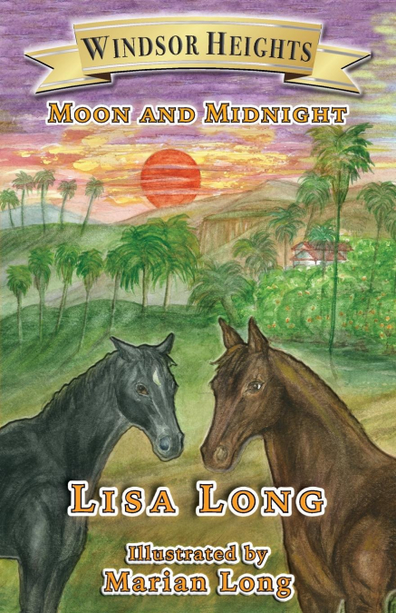 WINDSOR HEIGHTS BOOK 3