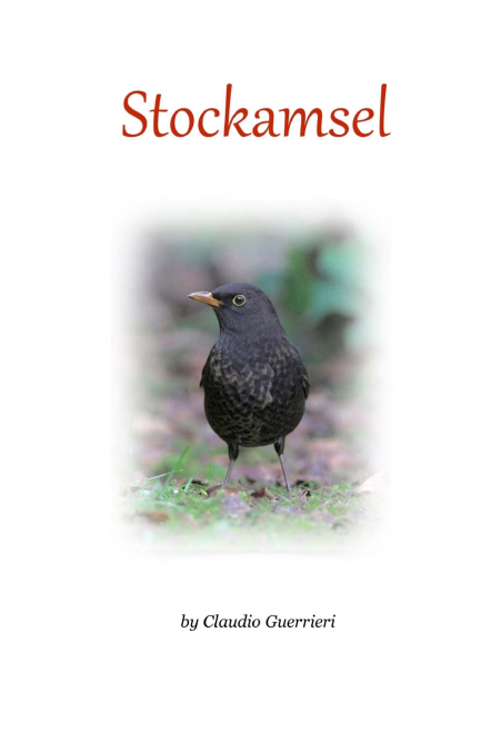 STOCKAMSEL