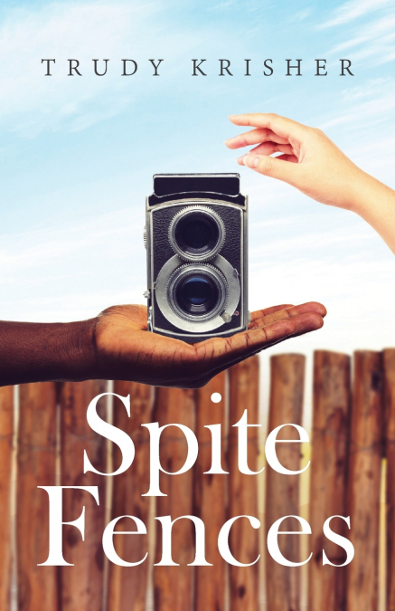 SPITE FENCES
