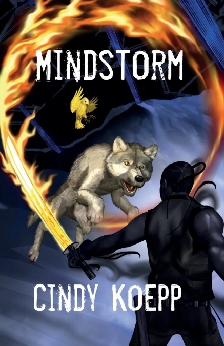 MINDSTORM