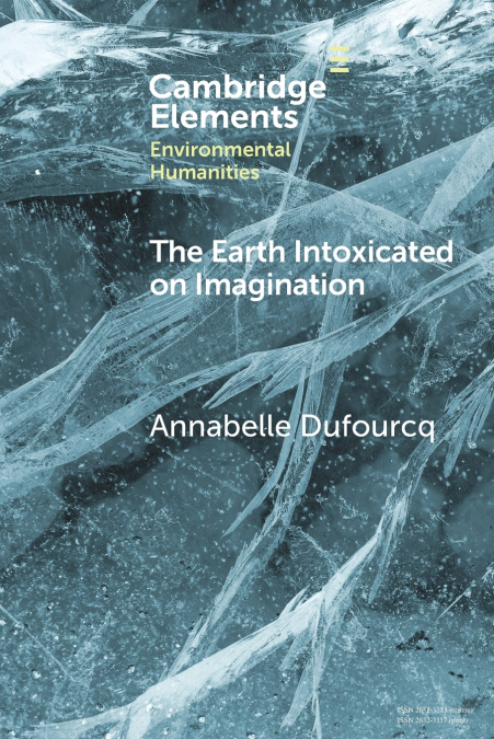LA DIMENSION IMAGINAIRE DU REEL DANS LA PHILOSOPHIE DE HUSSE