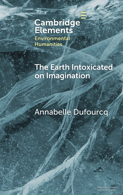 LA DIMENSION IMAGINAIRE DU REEL DANS LA PHILOSOPHIE DE HUSSE
