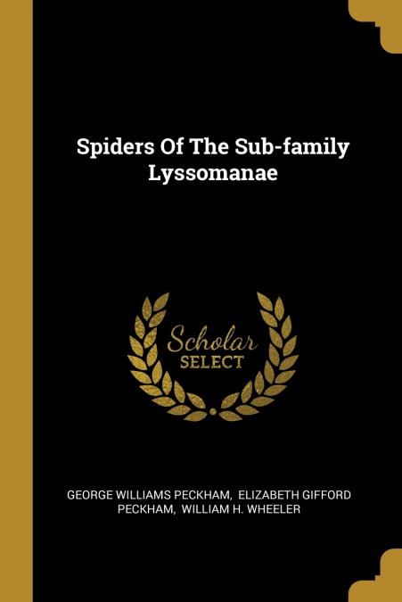 SPIDERS OF THE SUB-FAMILY LYSSOMANAE