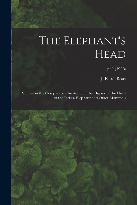 THE ELEPHANT?S HEAD