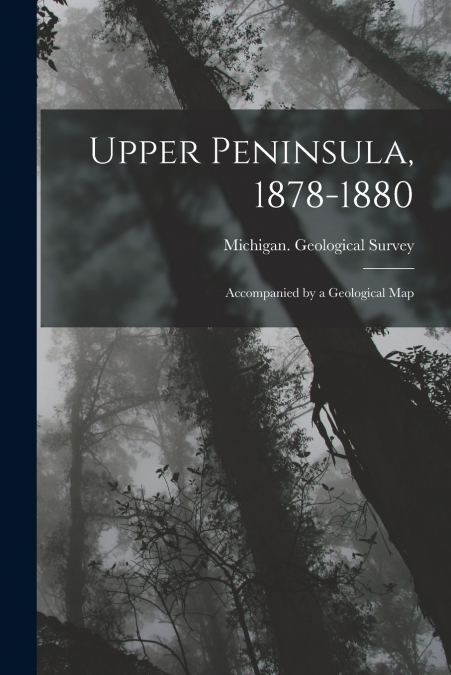 UPPER PENINSULA, 1878-1880