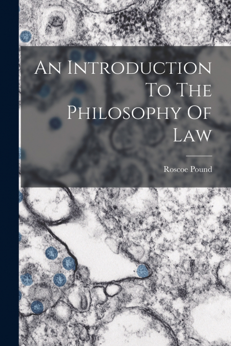 AN INTRODUCTION TO THE PHILOSOPHY OF LAW