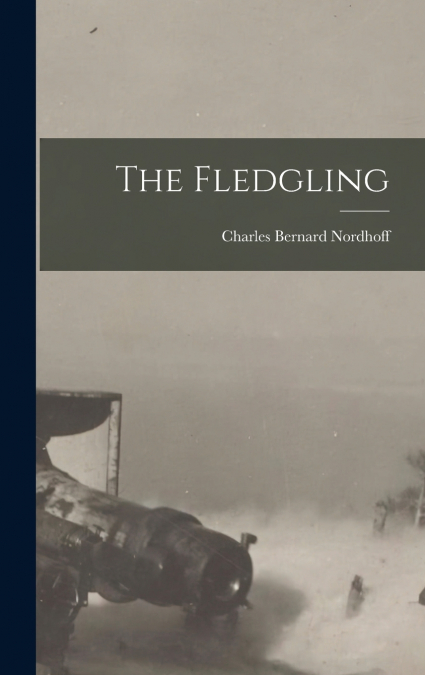 THE FLEDGLING (1919)