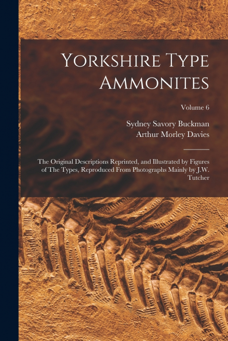 YORKSHIRE TYPE AMMONITES