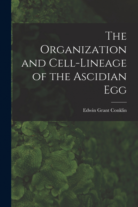 THE ORGANIZATION AND CELL-LINEAGE OF THE ASCIDIAN EGG