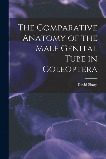 THE COMPARATIVE ANATOMY OF THE MALE GENITAL TUBE IN COLEOPTE