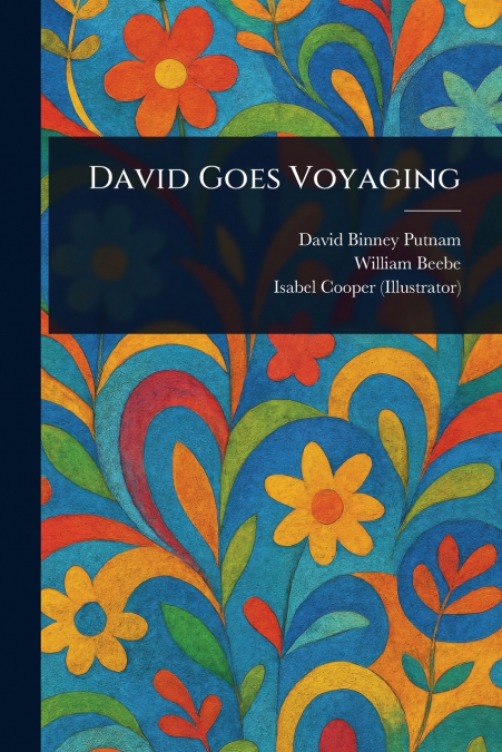 DAVID GOES VOYAGING