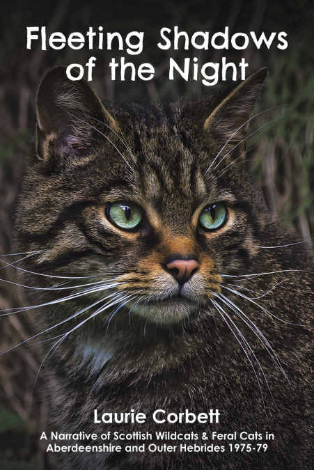 FLEETING SHADOWS OF THE NIGHT