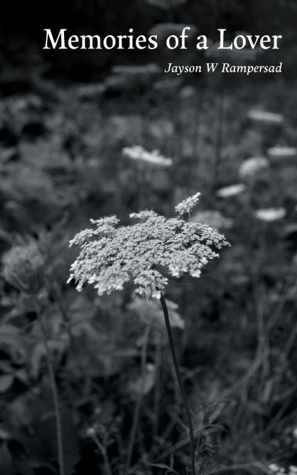 MEMORIES OF A LOVER