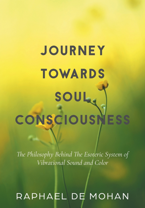 JOURNEY TOWARDS SOUL CONSCIOUSNESS