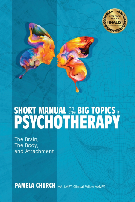 SHORT MANUAL ON THE BIG TOPICS IN PSYCHOTHERAPY