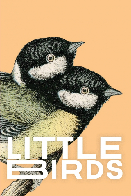 LITTLE BIRDS