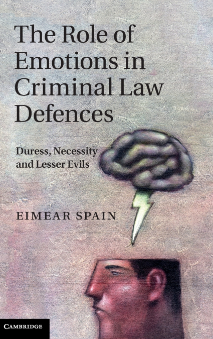 THE ROLE OF EMOTIONS IN CRIMINAL LAW DEFENCES