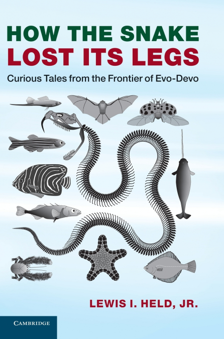 HOW THE SNAKE LOST ITS LEGS