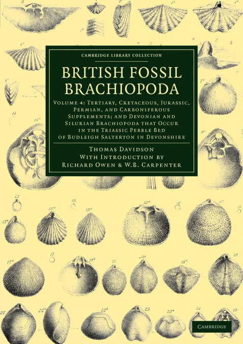 BRITISH FOSSIL BRACHIOPODA - VOLUME 3