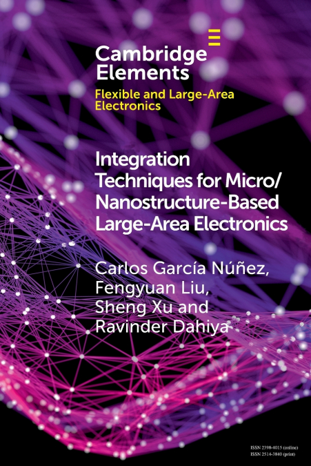 INTEGRATION TECHNIQUES FOR MICRO/NANOSTRUCTURE-BASED LARGE-A