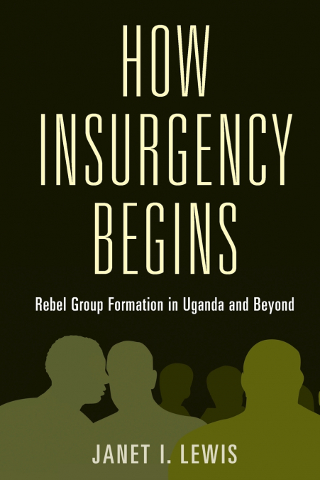 HOW INSURGENCY BEGINS