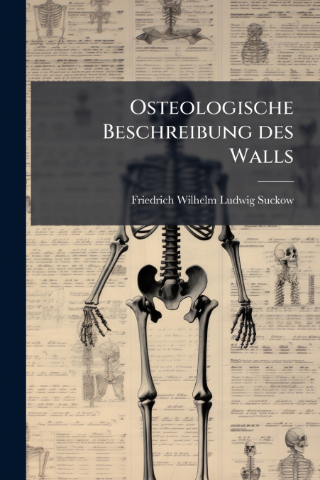 OSTEOLOGISCHE BESCHREIBUNG DES WALLS