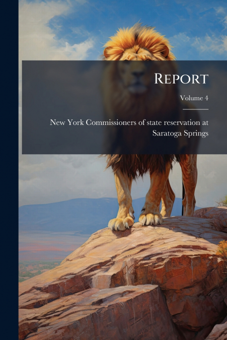 REPORT, VOLUME 4