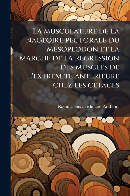 LA MUSCULATURE DE LA NAGEOIRE PECTORALE DU MESOPLODON ET LA