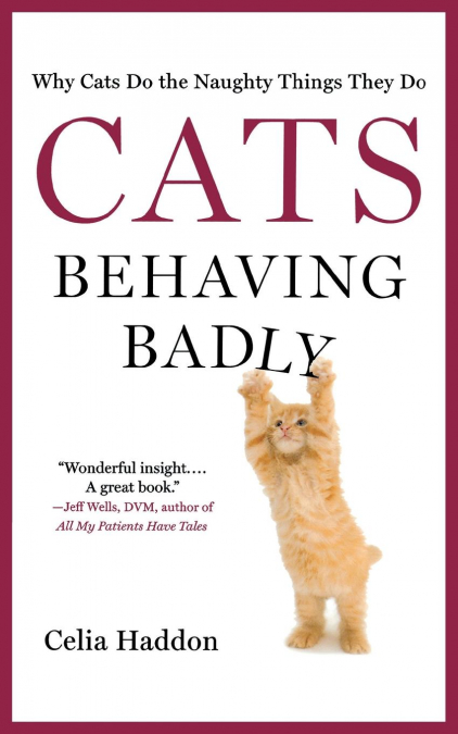 100 MANERAS DE QUE UN GATO EDUQUE A SU HUMANO