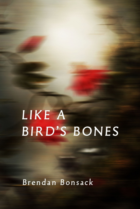 LIKE A BIRD?S BONES