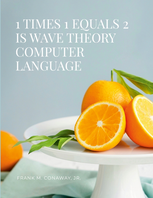 1 TIMES 1 EQUALS 2 IS WAVE THEORY COMPUTER LANGUAGE
