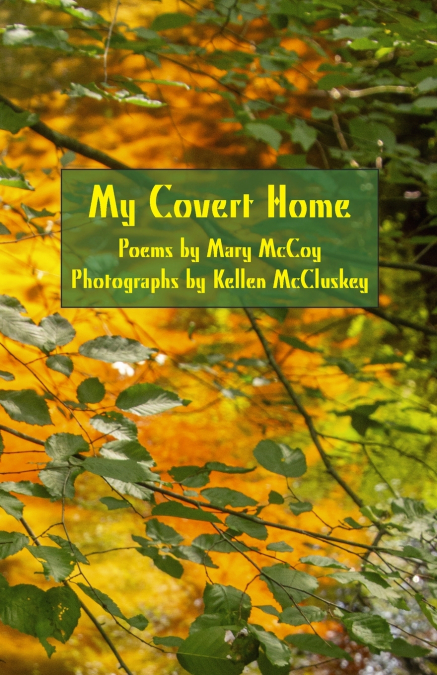 MY COVERT HOME