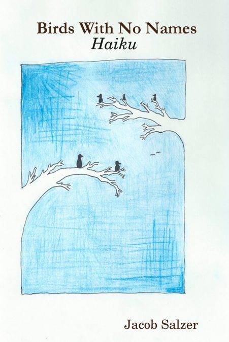 BIRDS WITH NO NAMES