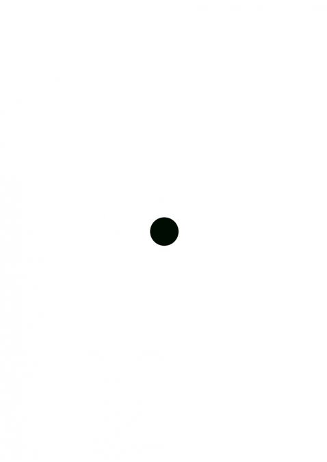 EIN MINIMALISMUS ARBEITSBUCH