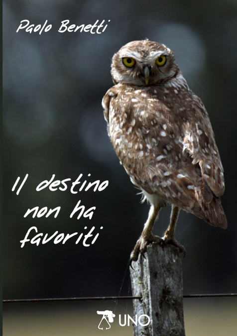 IL DESTINO NON HA FAVORITI
